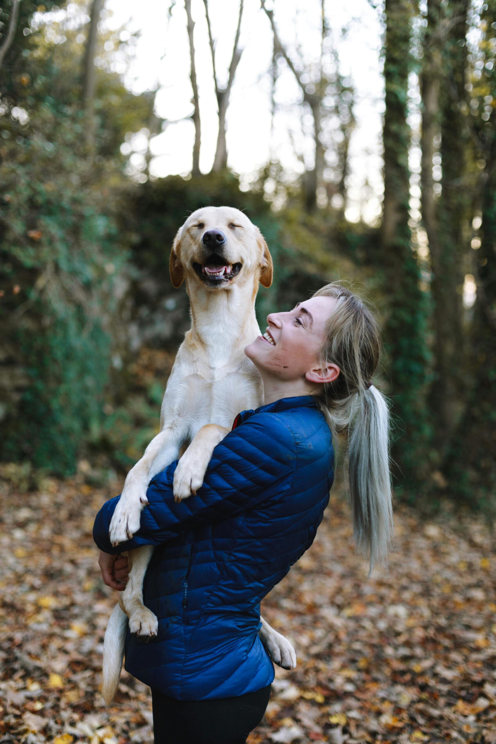 A woman joyfully hugs her Labrador Retriever in a serene autumn forest scene.